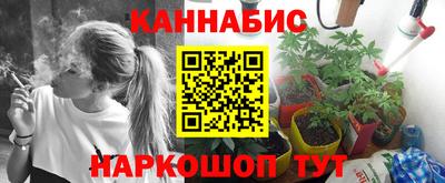 прущие крисы Апшеронск